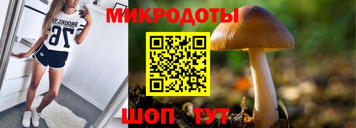 Янаул  Галлюциногенные грибы прущие грибы  Псилоцибиновые грибы прущие грибы  Вход с VPN 